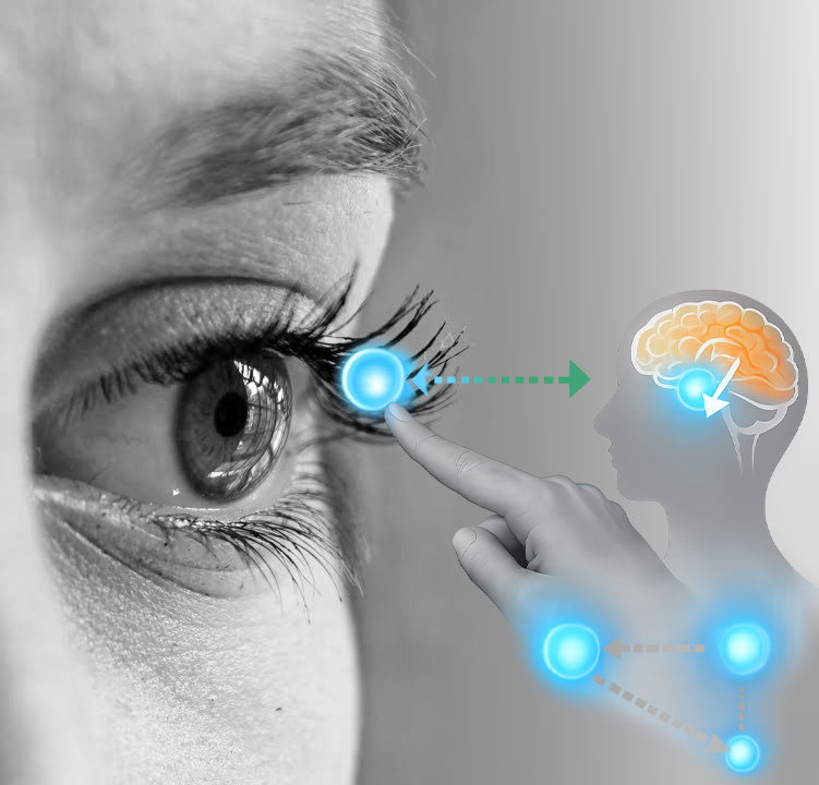 Terapia EMDR per trauma ansia e stress psicoterapeuta Alto Vicentino